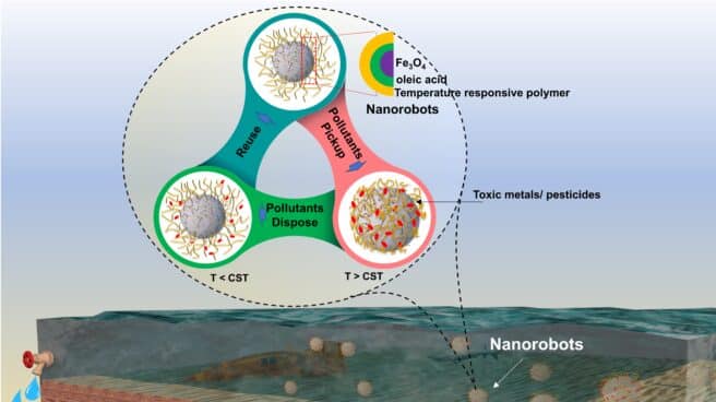 Water cleaning by Nanorobots Final Esquema del sistema de limpieza de nanorobots.