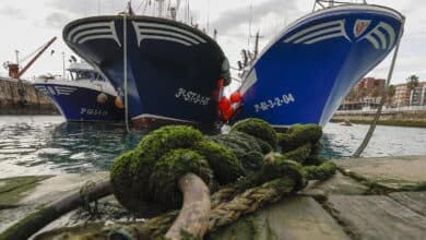 La pesca, en alerta por el gasóleo: "Habrá mucho menos pescado y será más caro"