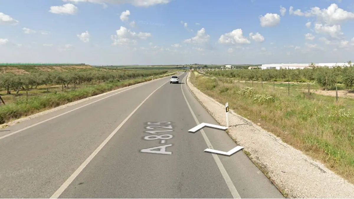 Carretera donde se encuentra la granja avícola en Morón de la Frontera.