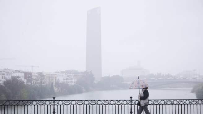 La borrasca Celia pone en alerta once comunidades por lluvia y viento, con Málaga en aviso rojo Una mujer pasea por Sevilla con paraguas