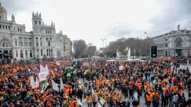 El campo contra los señoritos de los palabros
