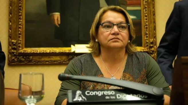 La diputada de Unidas Podemos Meri Pita en una imagen de archivo La diputada de Unidas Podemos Meri Pita en una imagen de archivo