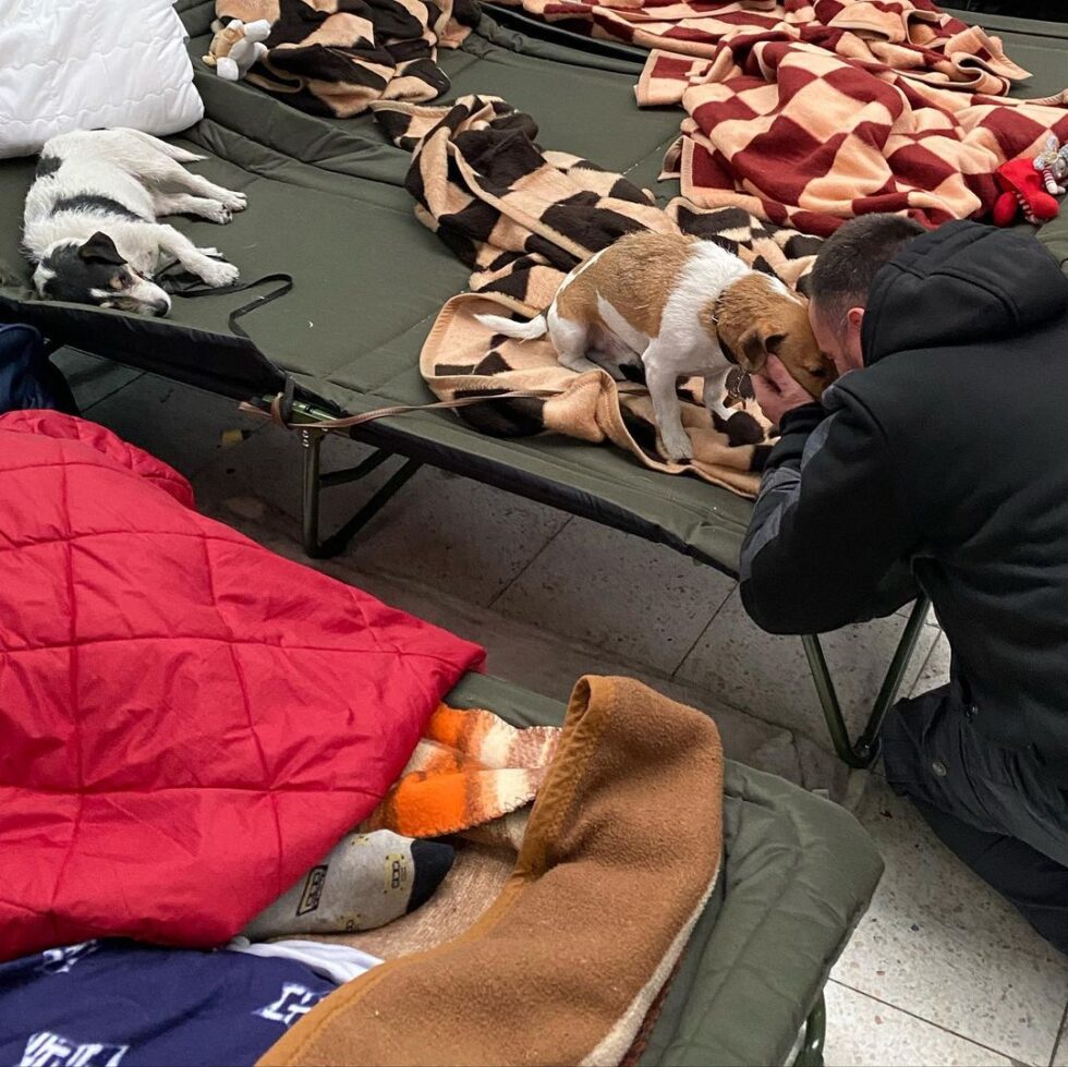 Ismael López, de Santuario Gaia, recibe a los perros de refugiados ucranianos en Przemysl