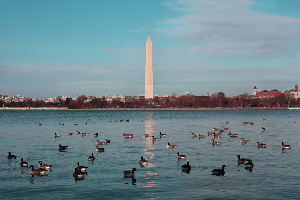 El obelisco de Washington. Se quería que la Torre Eiffel fuera el doble de alta. 