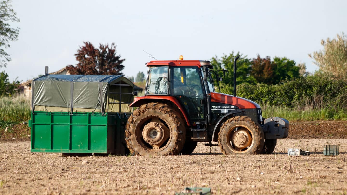 Un tractor recoge cajas de espárragos verdes que los jornaleros han recolectado en una plantación de Guadalajara