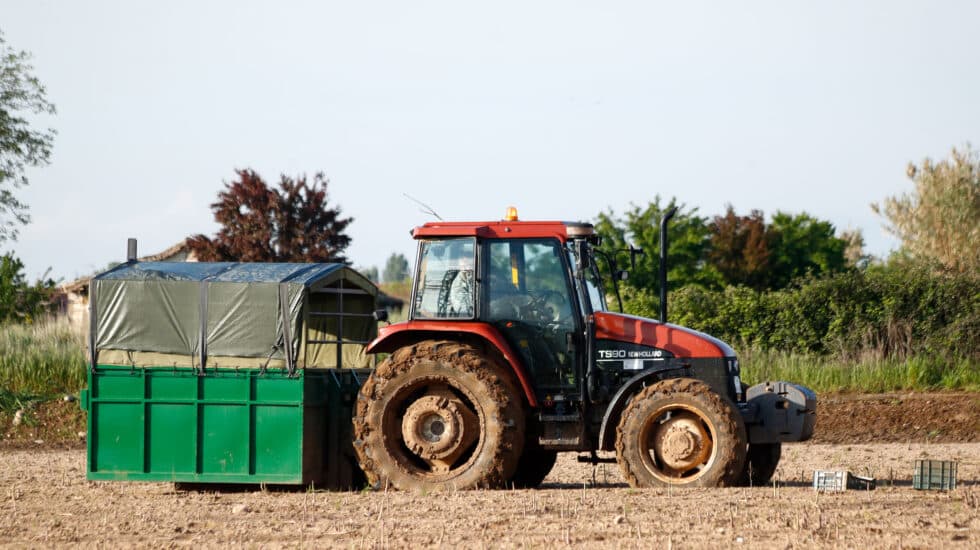 Un tractor recoge cajas de espárragos verdes que los jornaleros han recolectado en una plantación de Guadalajara