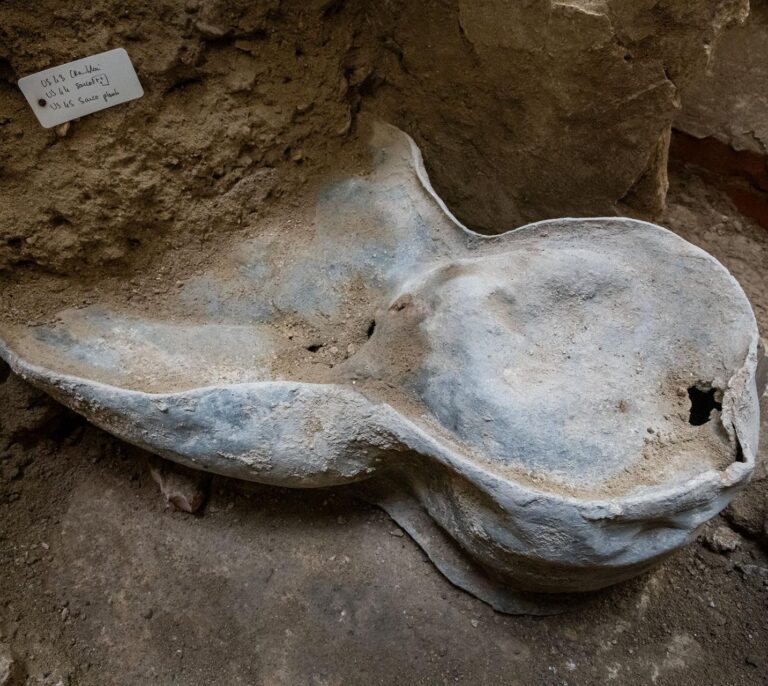 Del sarcófago de plomo a unas manos de piedra tallada: los tesoros de Notre-Dame