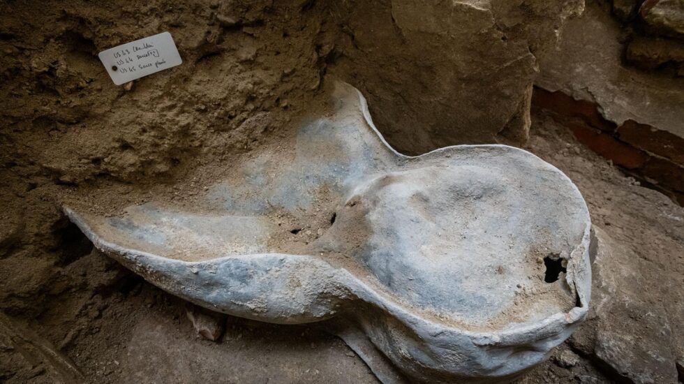 Sarcófago de plomo hallado en Notre-Dame