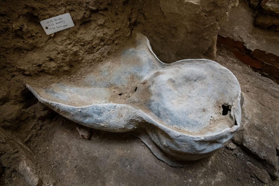 Sarcófago de plomo hallado en Notre-Dame