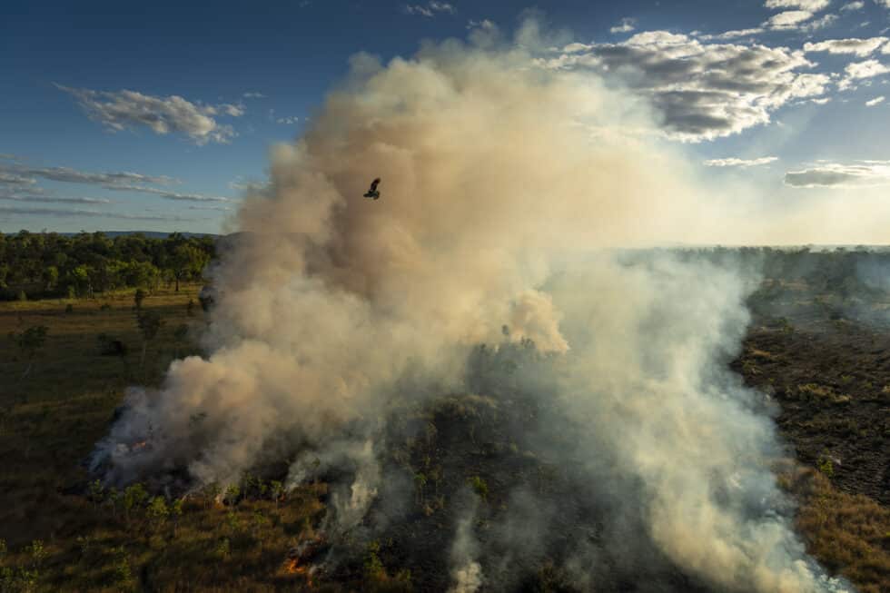 003_World Press Photo Story of the Year_Matthew Abbott_for National Geographic_Panos Pictures