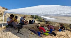 Descubren en Alicante un hábitat neandertal al aire libre de 120.000 años