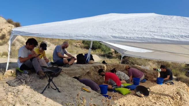Descubren en Alicante un hábitat neandertal al aire libre de 120.000 años