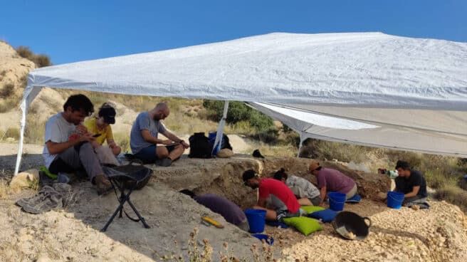 Descubren en Alicante un hábitat neandertal al aire libre de 120.000 años Descubren en Alicante un hábitat neandertal al aire libre de 120.000 años