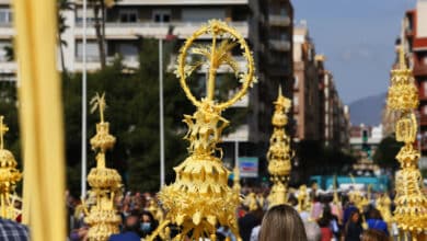 Miles de ilicitanos vuelven a celebrar el Domingo de Ramos con palmas blancas
