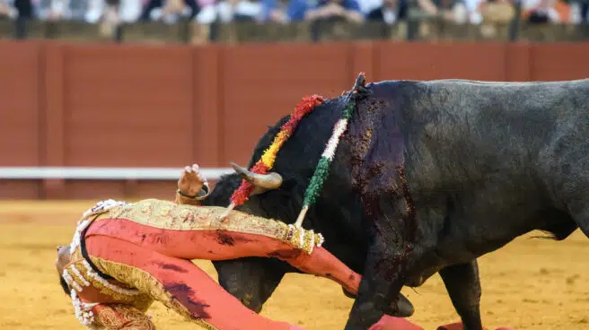El torero Miguel Ángel Perera, hospitalizado por una cornada de dos trayectorias