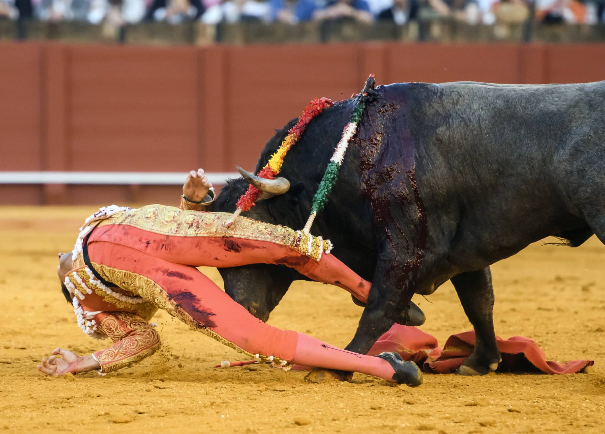 El torero Miguel Ángel Perera, hospitalizado por una cornada de dos trayectorias