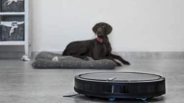 Ofertas de primavera de Amazon: El robot aspirador Conga de Cecotec 110 euros más barato
