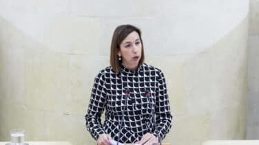 Dimite la consejera socialista de Economía de Cantabria al no aceptar su Gobierno la rebaja del IRPF