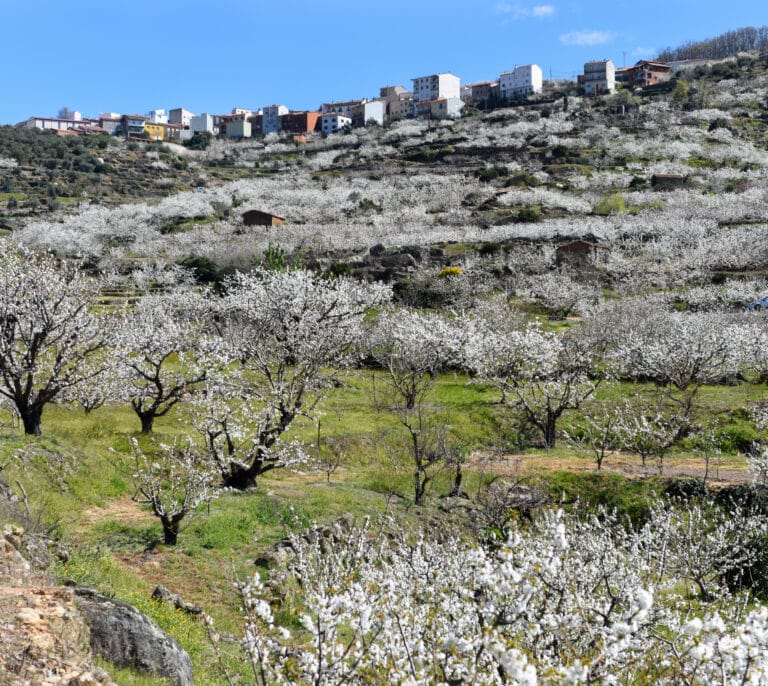 El Valle del Jerte: historia, leyendas, gastronomía y rutas perfectas