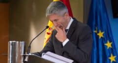 Marlaska indigna a ERC al asociar a sus juventudes con el terrorismo
