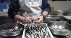 Hallan plastificantes en sardinas, boquerones y merluzas del mar Mediterráneo