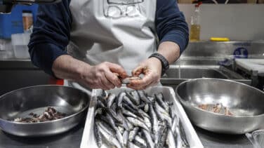 Hallan plastificantes en sardinas, boquerones y merluzas del mar Mediterráneo