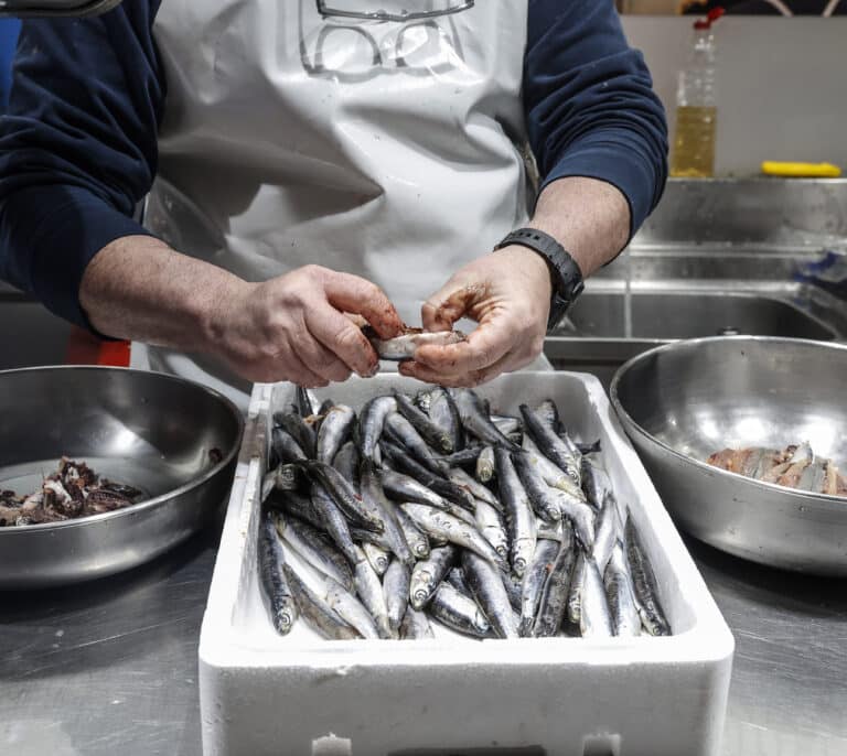 Hallan plastificantes en sardinas, boquerones y merluzas del mar Mediterráneo