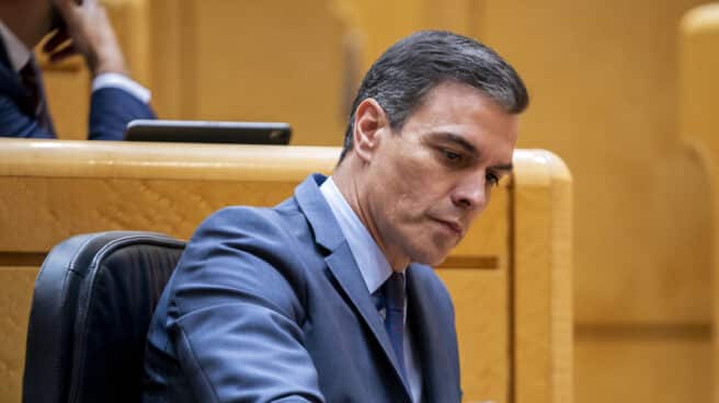 El presidente del Gobierno, Pedro Sánchez, en el Senado