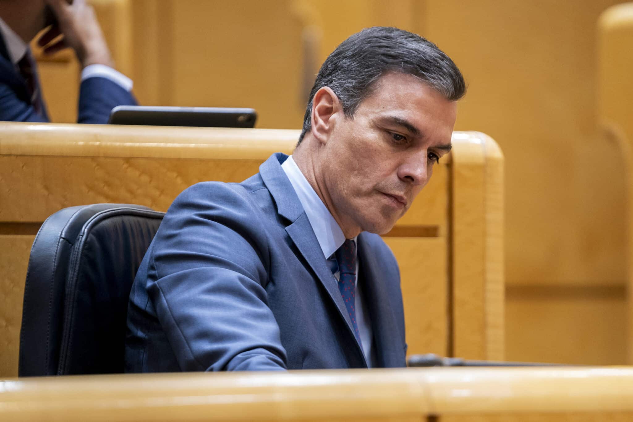 El presidente del Gobierno, Pedro Sánchez, en el Senado