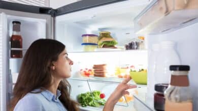 Los mejores frigoríficos desde 13,28 euros al mes disponibles solo en Eureka