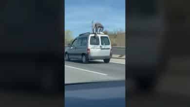 Detienen al 'Spiderman' de la carretera: el hombre que iba hacía piruetas sobre una furgoneta en marcha en Madrid