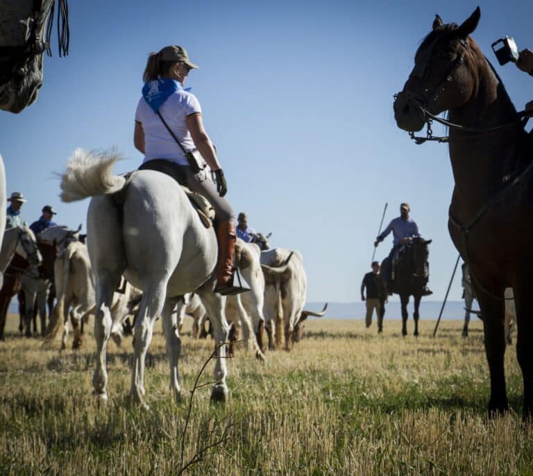 Una mujer y una niña graves tras ser arrolladas por caballos en una fiesta