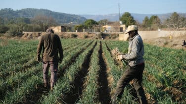 El paro cae en 2.921 personas en marzo, el primer mes afectado por la guerra