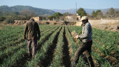 El paro cae en 2.921 personas en marzo, el primer mes afectado por la guerra