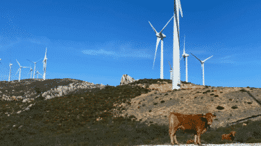 Reciclaje de baterías y palas eólicas: nueva vida para la central de Compostilla