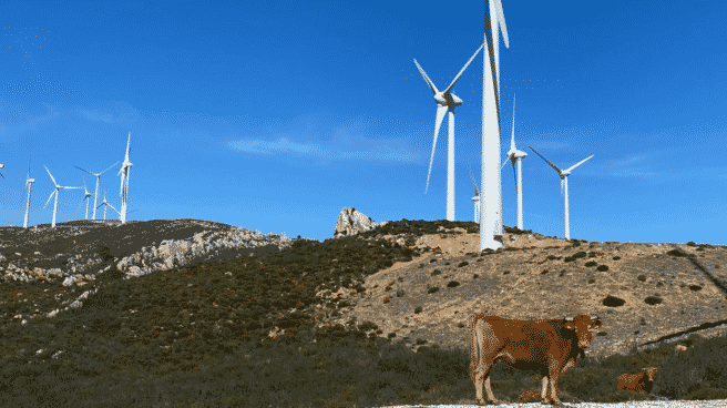 Parque eólico de Endesa en Tarifa (Cádiz). Comienza el desarrollo de dos de los siete proyectos del plan Futur-e de Endesa que crearán empleo con alto valor añadido en innovación y sostenibilidad tras el cierre de la central térmica de Cubillos del Sil, en León