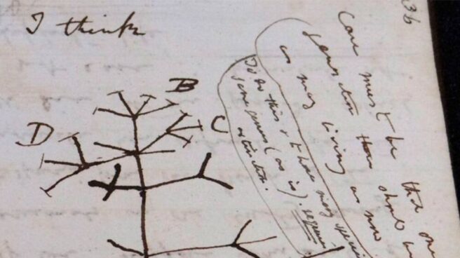 Recuperan dos cuadernos de notas de Darwin perdidos hace 22 años 'El arbol de la vida' de Darwin, recuperado por la Universidad de Cambridge