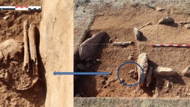 Hallan los restos de una mujer romana enterrada en la necrópolis megalítica de Panoría (Granada)