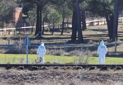 Agentes de la Guardia Civil en el lugar donde se encontró el cadáver de Esther López de la Rosa.