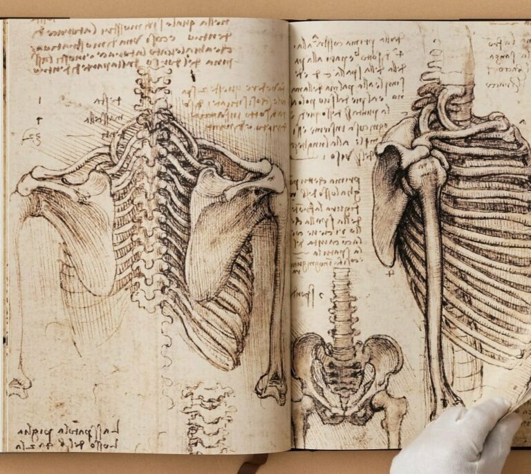 Los misterios de Leonardo Da Vinci, al detalle