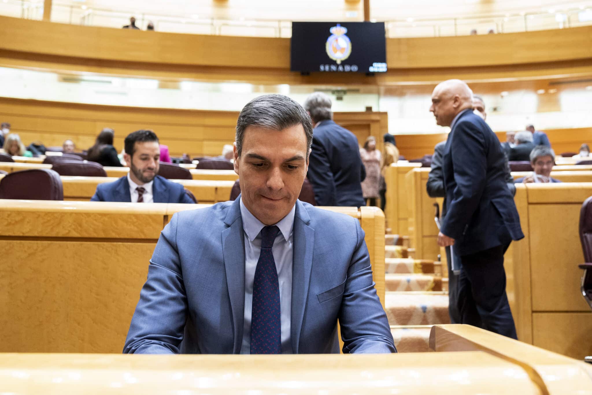 Pedro Sánchez, en una sesión de control al Gobierno en el Senado
