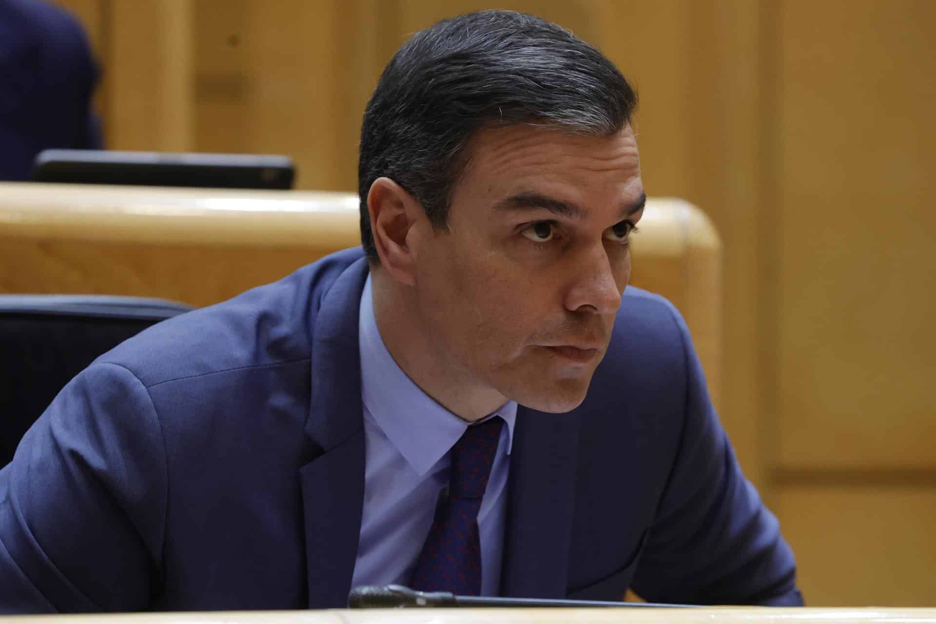 El presidente del Gobierno, Pedro Sánchez, en el Senado.