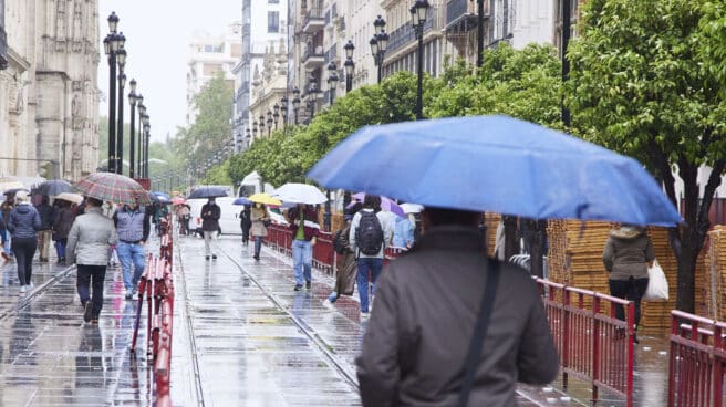 La borrasca Evelyn pone a quince provincias en alerta amarilla por viento y lluvias Varias personas pasean con sus paraguas en Sevilla