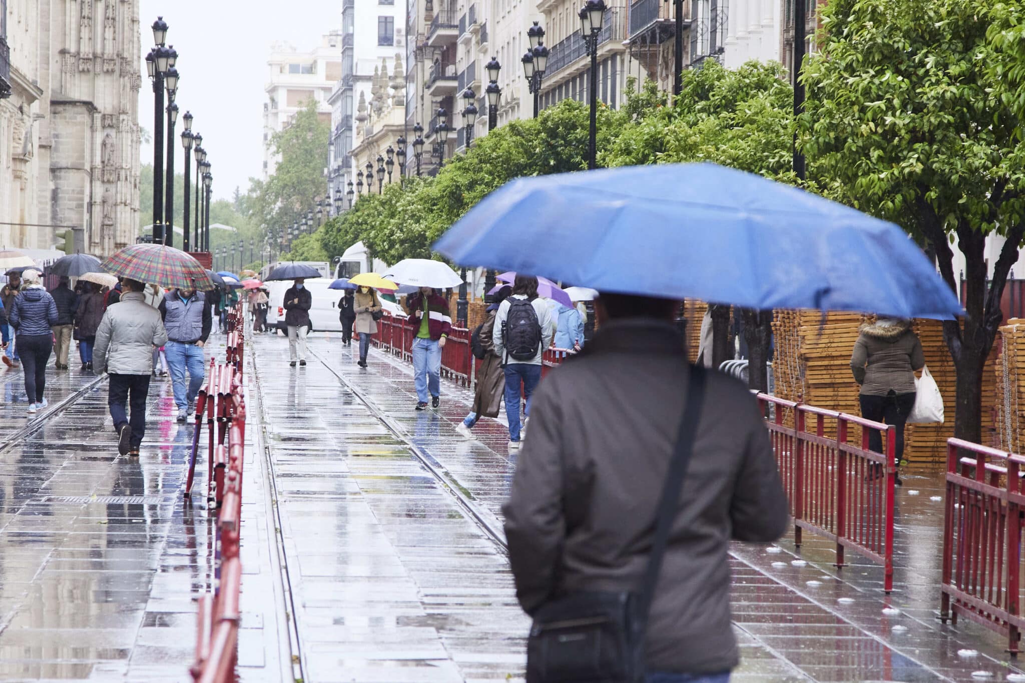 Varias personas pasean con sus paraguas en Sevilla