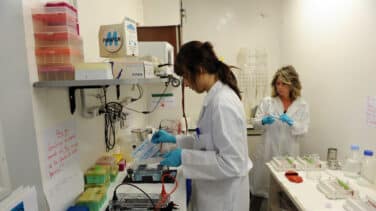 Un estudio del CITA certifica que el sistema de eliminación del virus DuctFIT mejora la conservación de alimentos