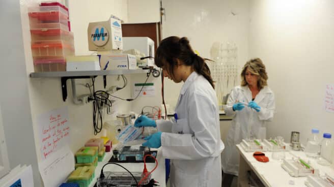Un estudio del CITA certifica que el sistema de eliminación del virus DuctFIT mejora la conservación de alimentos Centro de Investigación y Tecnología Agroalimentaria de Aragón