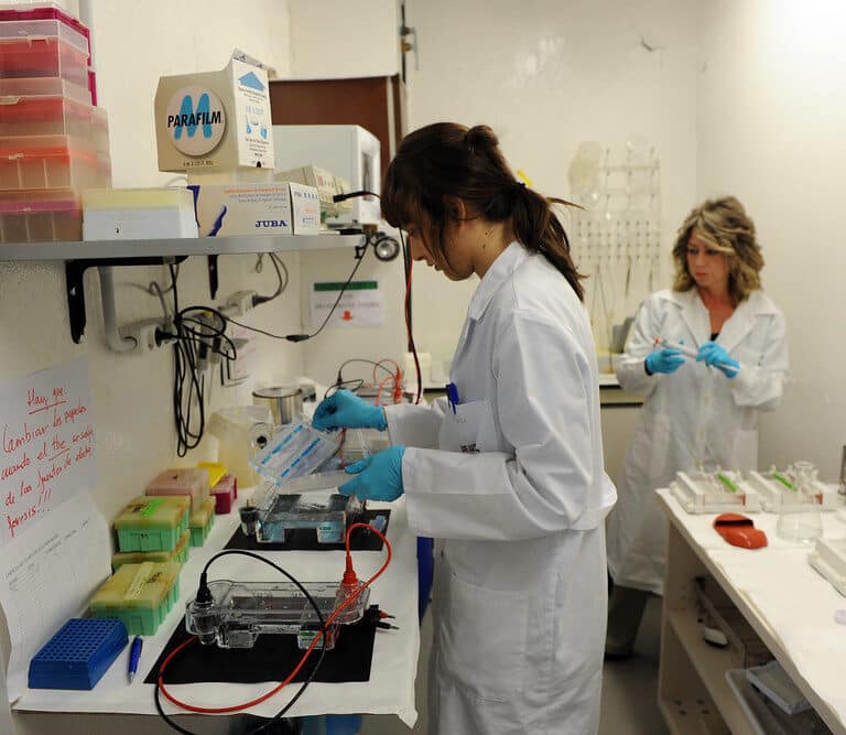 Un estudio del CITA certifica que el sistema de eliminación del virus DuctFIT mejora la conservación de alimentos