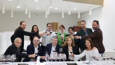 Ribera del Duero: la añada 2021 de los vinos es "excelente"