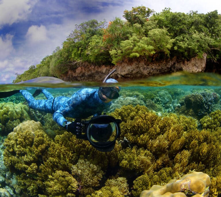 Enric Sala: “No estamos dando suficiente importancia a la crisis de biodiversidad”