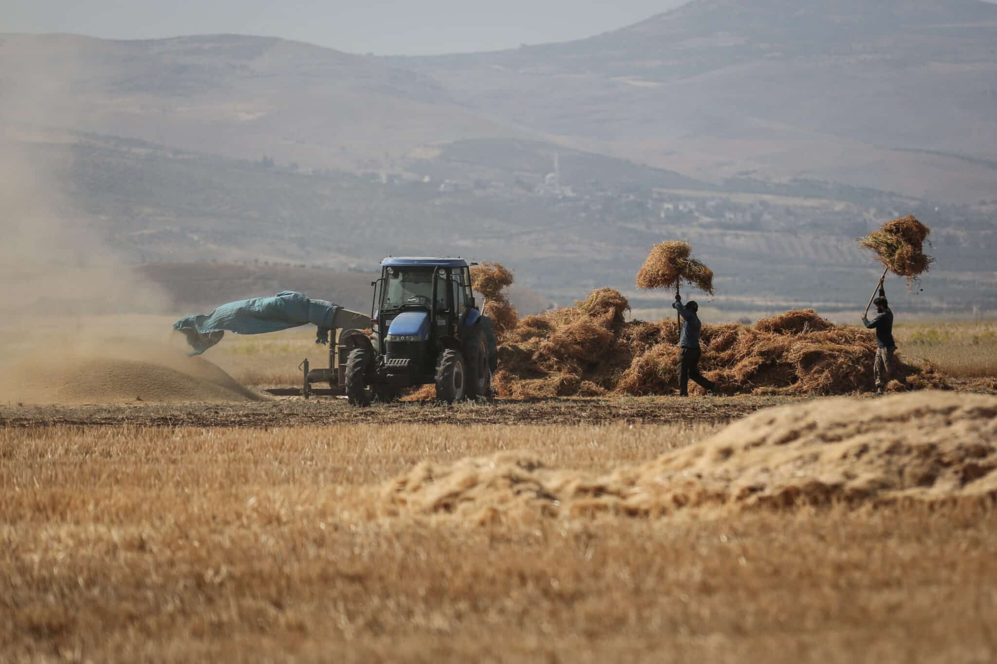 Recolección de la cosecha en Siria
